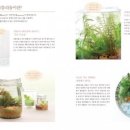 예스리움 이미지