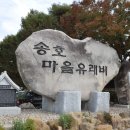 캠바이오 이미지