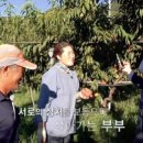 아내농원