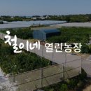 철이네농산물
