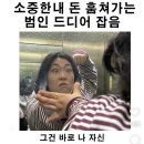 홈프로텍터의 햄스터 통돌이 같은 일상