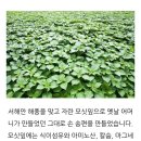 떡보네 - 영주시 구성로 248 | 떡보네