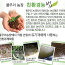 유기농 찰토마토 50% 맛보기 이벤트 이미지