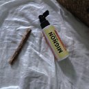 미뇽 캣 이미지