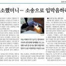 보배치과 이미지