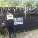 옥천파출소 이미지