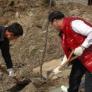 행복을주는나무 이미지