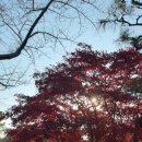 진주스토리 | 진주단풍명소 진주아이랑가볼만한곳 진양호동물원 입장료 주차 진주데이트 후기