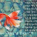 카페 사랑 이미지