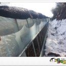 비타민 흑염소농장 이미지