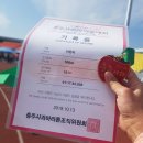 마라톤참가후기 내가 러닝을 시작하게 된 이유