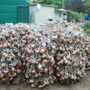 황골해변 이미지