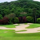 여주-0300 이미지