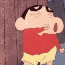 웨딩이야기