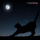자세교정 스트레칭 네이버블로그