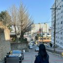 군산 여행 분위기좋은 카페 : 첼로네시아 (내돈내산)