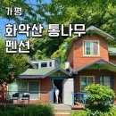 화악산통나무펜션 | [화악산통나무펜션] 가평 깊은 계곡 바로 앞 가성비 펜션 추천 | 여름 계곡 휴가 | 복층 펜션