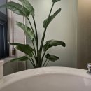 역삼-1289 이미지