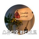 라디오르 이미지