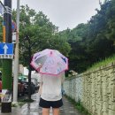 팔레트 펜션 이미지