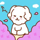 복담은집 이미지