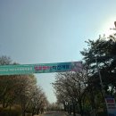 수호 | 경기 동두천 여행 아이와 가볼만한곳 자유수호평화박물관 후기 벚꽃 개화 근황