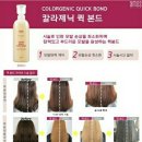 니드헤어(Need hair) Daum카페