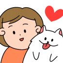 댕냥이집사몰
