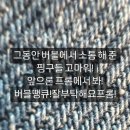 땡큐버블