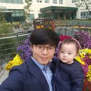 세진세무회계 이미지