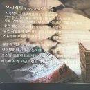 모리커피서귀포