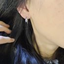 파샤 | [매혹천재 후기] 스완랜더 파샤 프랙티스 후기