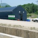 청정미나리영농조합 이미지