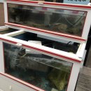 이차는전집 이미지