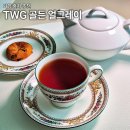 SGEM서본녹색환경기계 | TWG 골든 얼그레이 홍차 직접 마셔본 후기 찻잎 맛있게 우리는 법