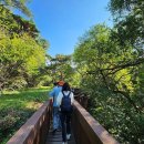 람사르습지길 이미지