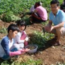 자인동물병원 이미지