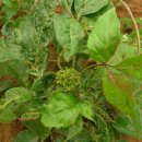 현제농장 이미지