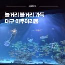 신세계수족관 | [대구여행] 놀거리 볼거리 가득! 대구 아쿠아리움 신세계백화점 방문후기/주차/위치/무료입장