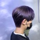 컬러리프 이미지