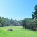 노송골프 이미지