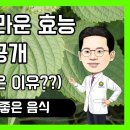 [담적보감] &#34;담적병에좋은음식 깻잎의 놀라운 효능 6가지&#34; 이미지