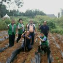 새사랑농장 이미지