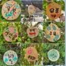 해송초교 이미지