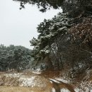장군산 이미지