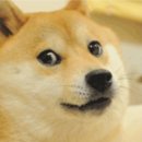 새벽치킨 이미지