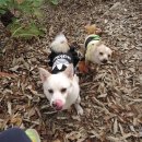 동현24시동물병원 이미지