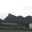 인성리-4 티스토리