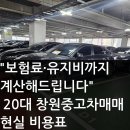 그린카모터스 | &#34;보험료·유지비까지 계산해드립니다&#34; 20대 창원중고차매매 현실 비용표
