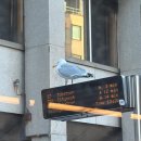 보름달작은도서관 | [아일랜드 워홀] EP.6 장기방으로 이사하다/싸우자 아일랜드